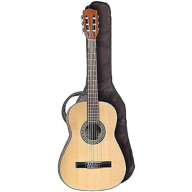 J Reynolds JR15N 36-inch Student Classical Guitar with Bag