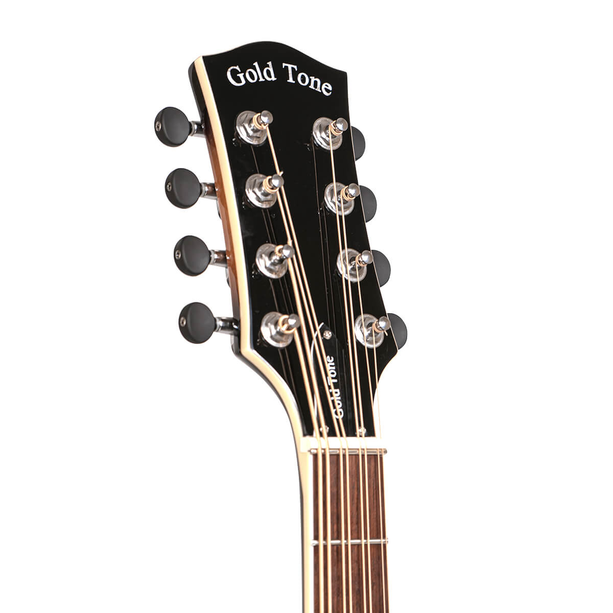 Gold Tone Mandocello with Pickup and Case