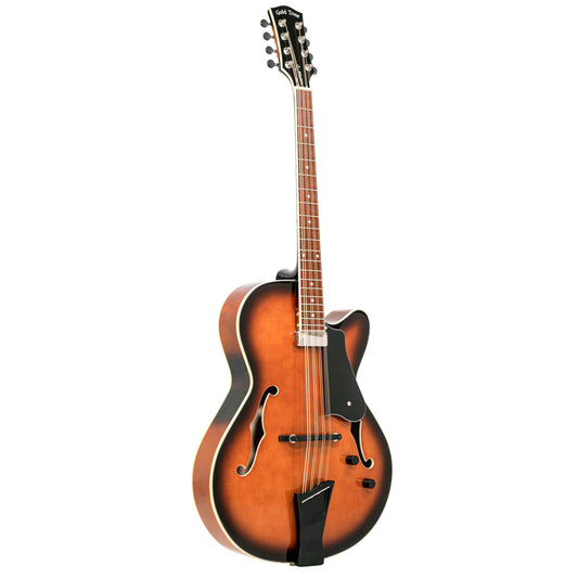 Gold Tone Mandocello with Pickup and Case